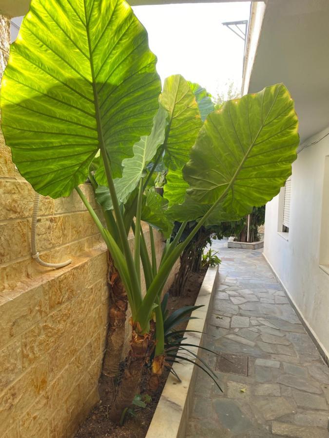 Little Cottage เอเธนส์ ภายนอก รูปภาพ
